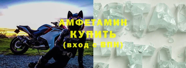трава Белокуриха