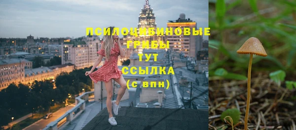 трава Белокуриха