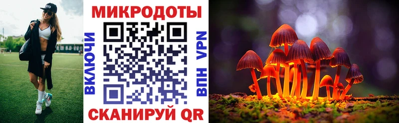 Псилоцибиновые грибы Magic Shrooms Покровск